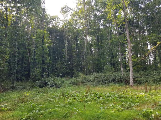 Terrain 45 700 m² Saint Connan