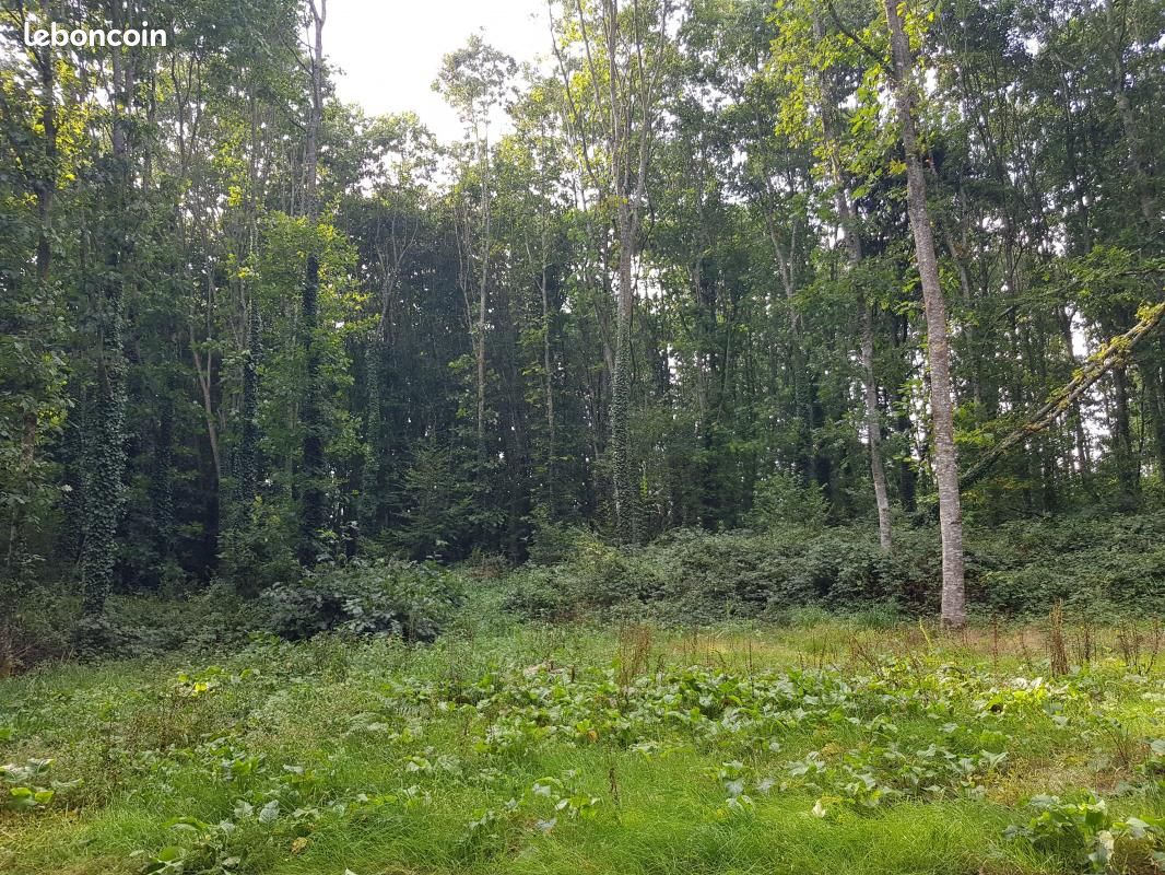 Terrain 45 700 m² Saint Connan · à Saint-Connan · 76 300 €