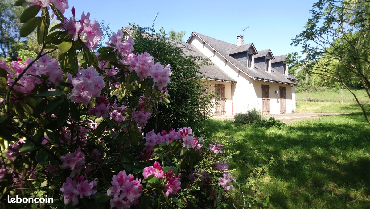 Maison 5 pièces 160 m² · à Sillé-le-Guillaume · 160 m² · 195 000 €