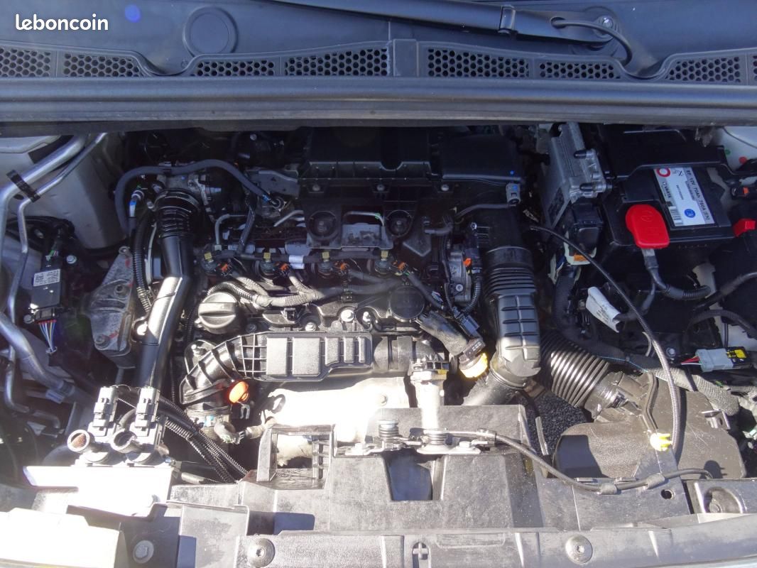 Citroën Berlingo 1.5 Hdi 130cv Dangel 4X4 (image 16)