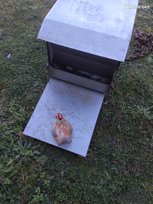 Nourrisseur pour poules (image 2)
