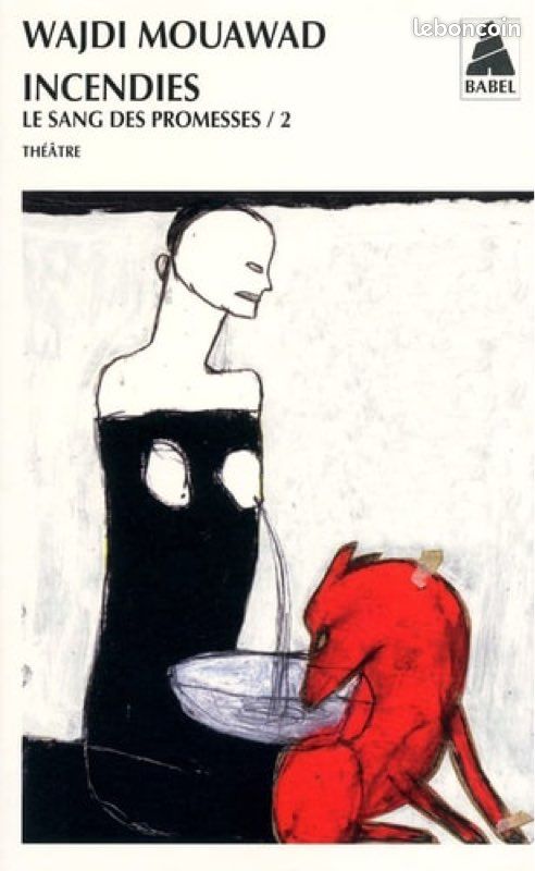 Livre incendies (image 2)