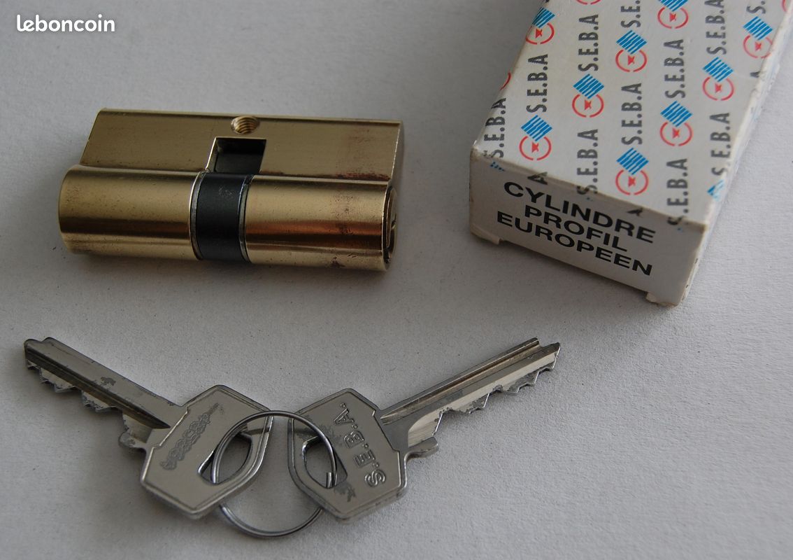 Barillet de serrure de porte 30 + 30 Laiton ( Neuf ) (image 1)