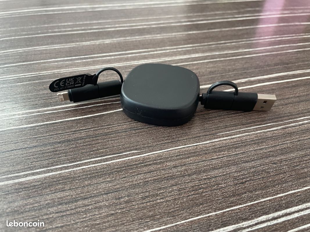 📱 Câble de recharge Rétractable Multi Embout 4 en 1, USB-C/USB-A vers Lightning/USB-Type C (image 3)