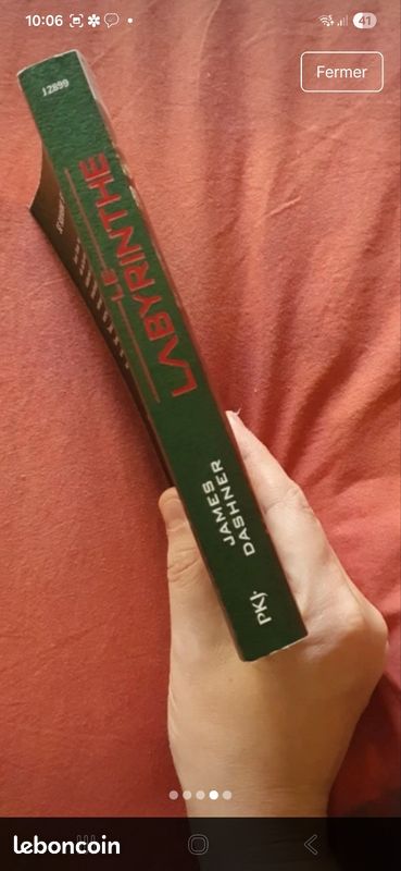 Livre le labyrinthe (image 4)