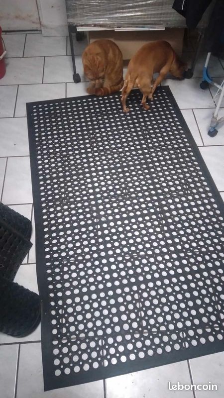 Tapis anti glisse (image 2)