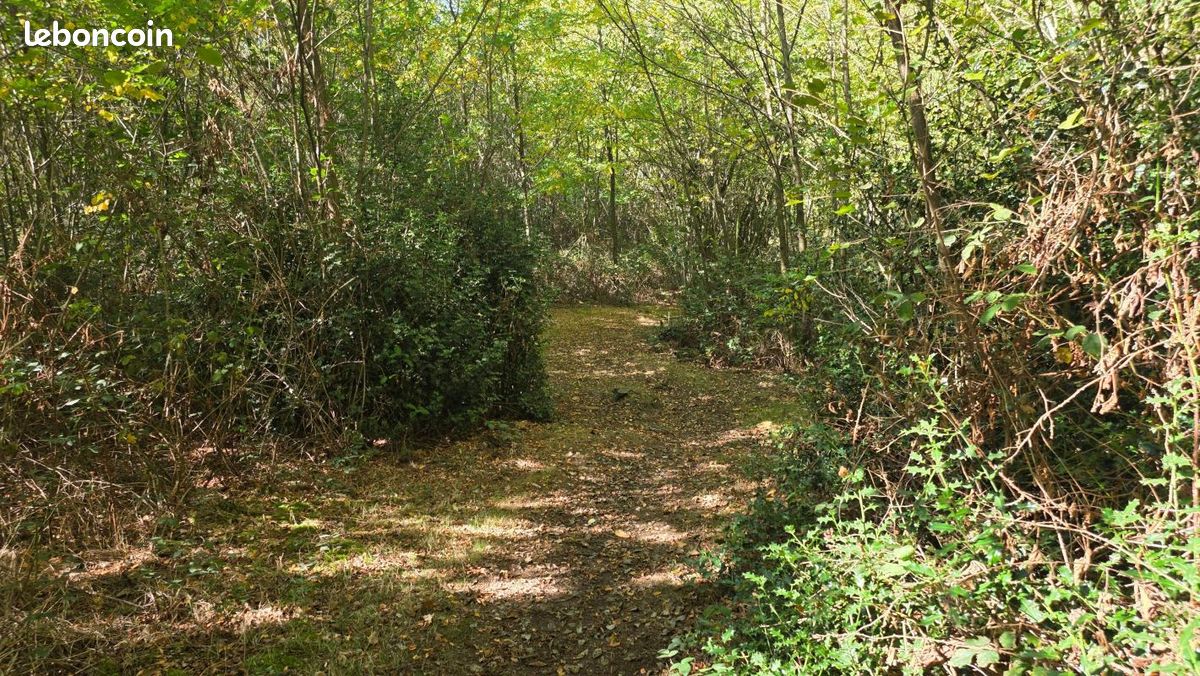 Terrain 22165 m² · à Capvern · 144 959 €