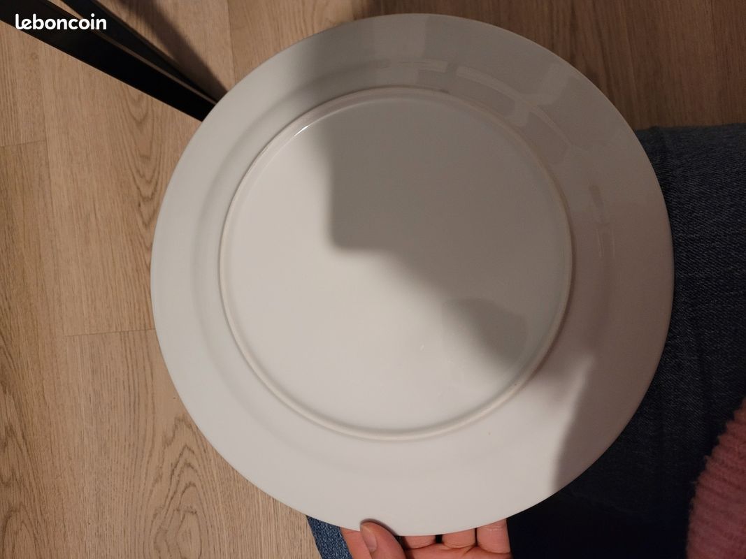Lot de 10 grandes assiettes (image 3)