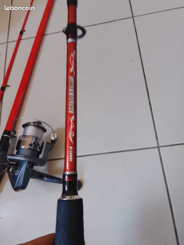 Article peche Daiwa (image 2)