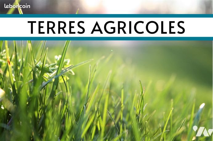 Terrain 29300 m² FOLLIGNY