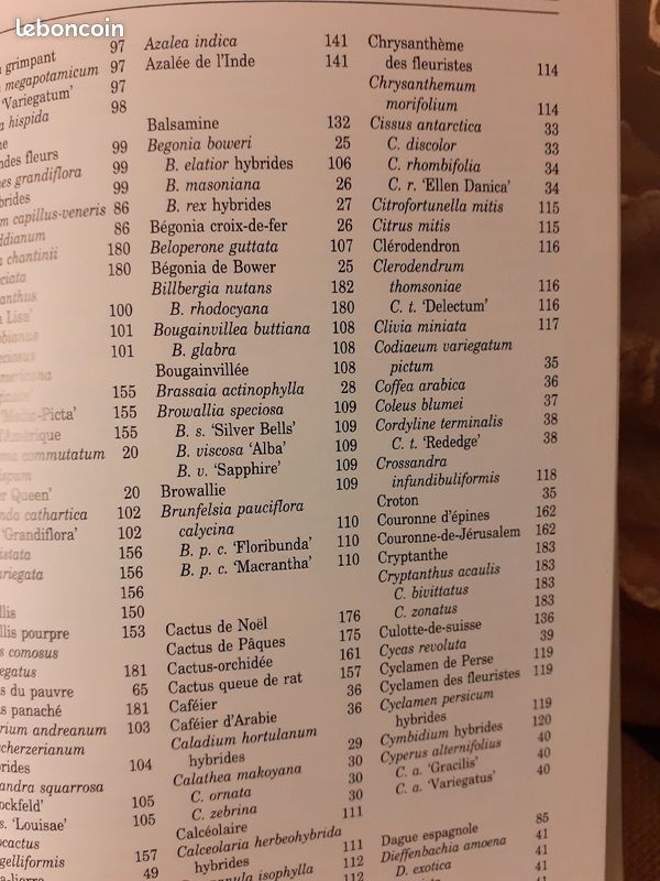Livre les plantes d'intérieur (image 3)