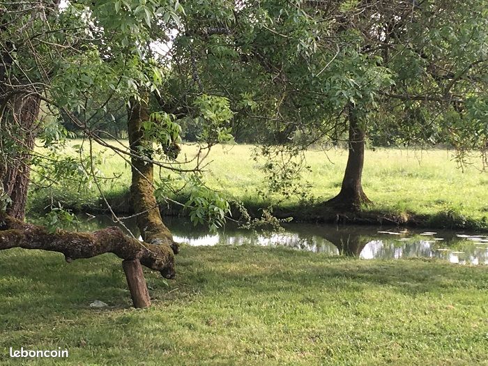 Terrain Chedigny · à Chédigny · 16 000 €
