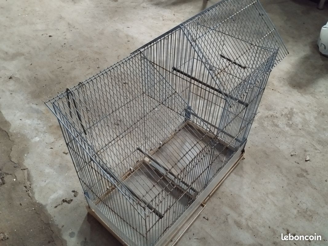 Cage à oiseaux (image 2)