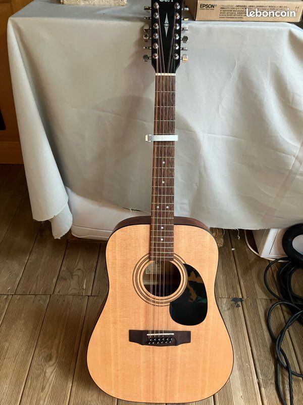 Guitare 12 cordes (image 1)