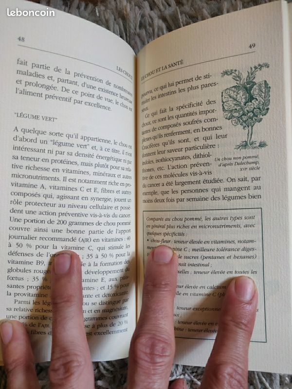 Chroniques du potager - Les choux (image 7)