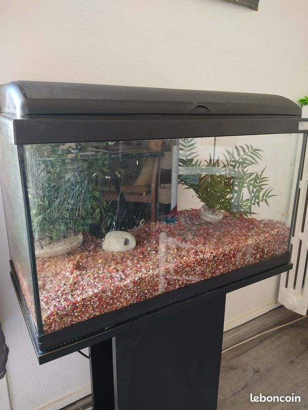 Aquarium (image 2)