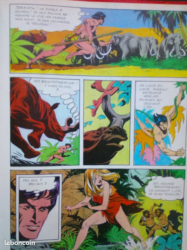 Tarzan EO (image 2)