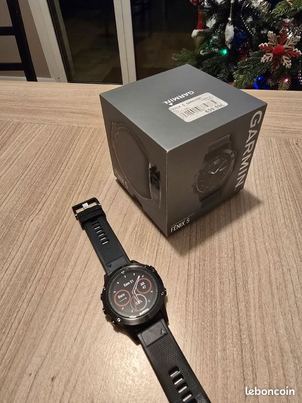 Montre Garmin Fenix 5 Sapphire (image 1)