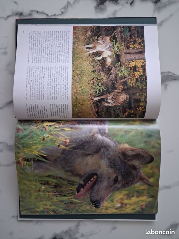 Livres animaux (image 2)