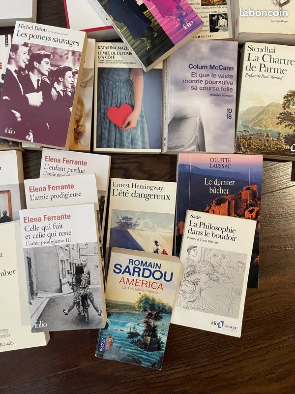 Lot de 60 livres de littérature format poche ou grand format tous auteurs lot ou unité (image 4)
