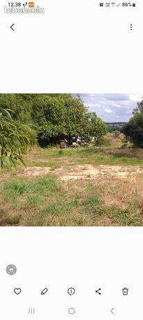 Terrain constructible