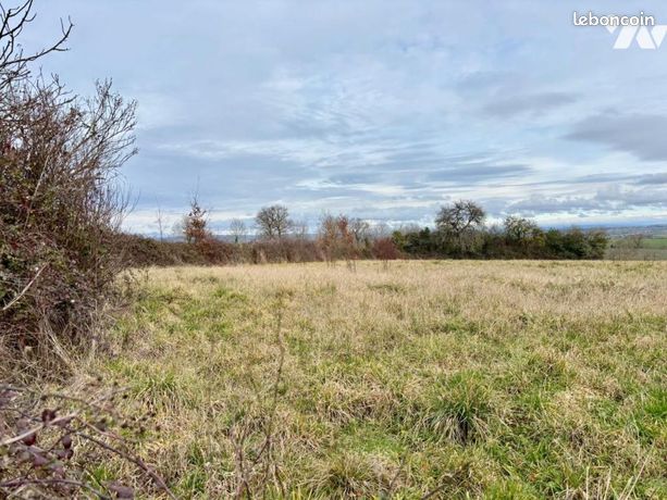 Terrain 2651 m² TAYRAC
