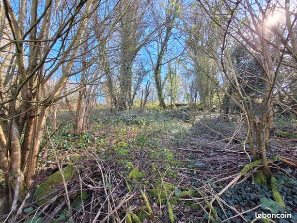 Terrain 2002 m² ETREAUPONT