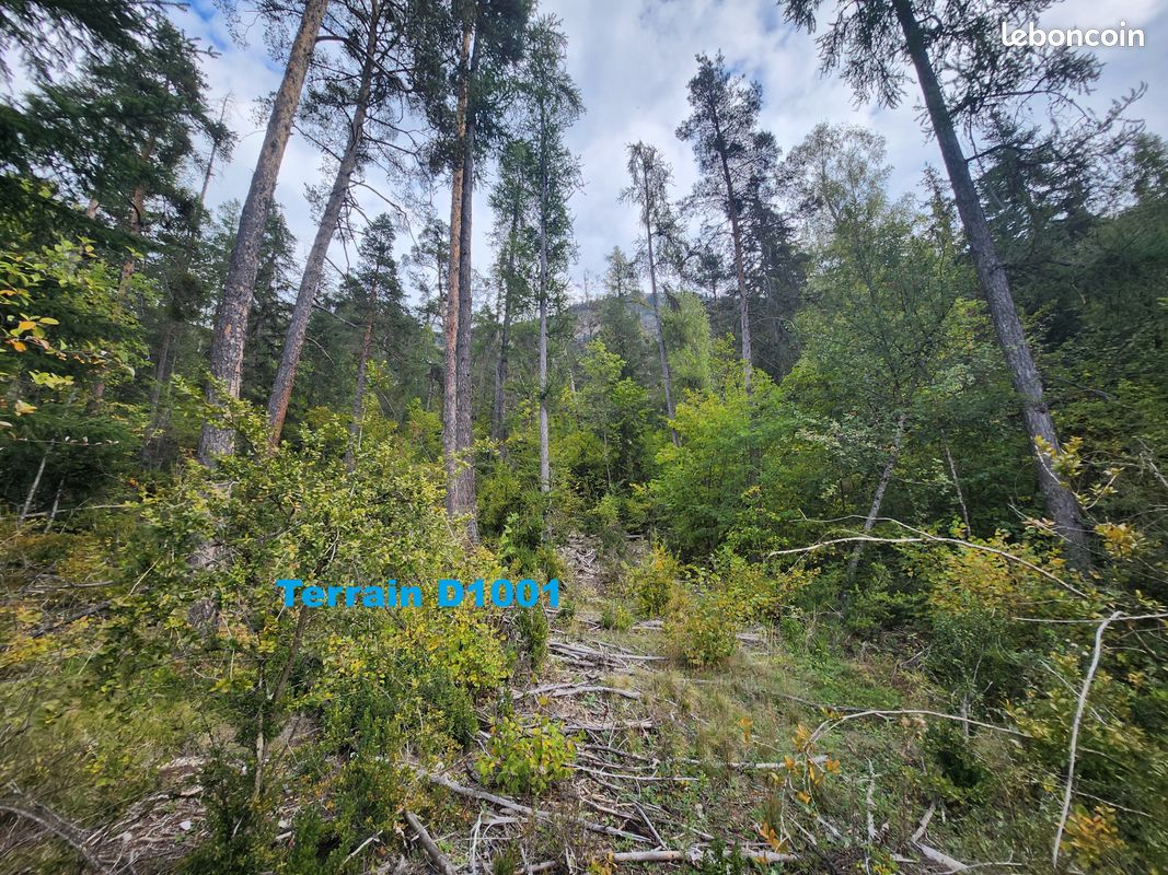 Terrain 1784 m² Colmars (image 8)