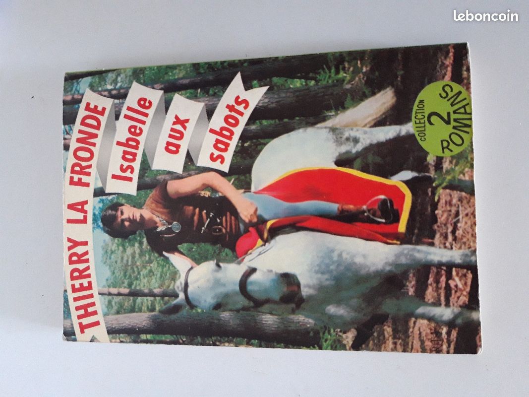 Livre Thierry la Fronde (image 2)