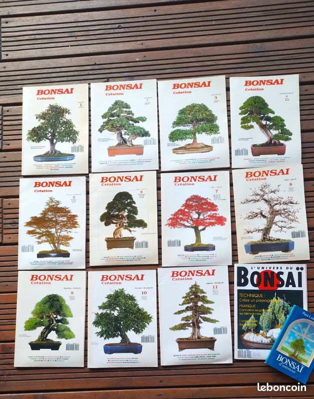 Lots 13 livres Bonzais (image 1)