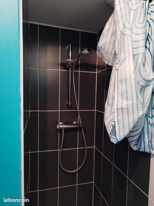 Grand studio Centre ville Poitiers - Poitiers 86000 (image principale 2)