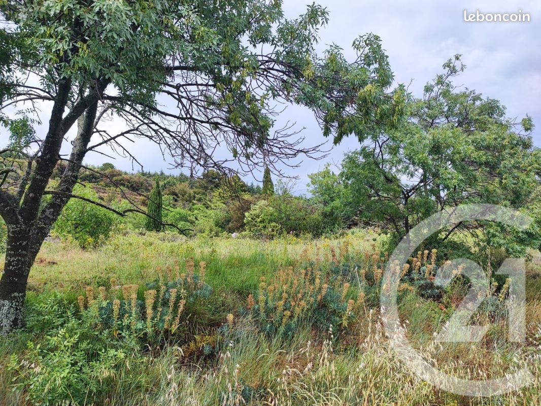 Terrain 1013 m² · à Félines-Minervois · 54 500 €