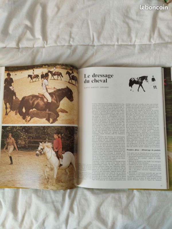 Le monde fascinant des chevaux (image 9)