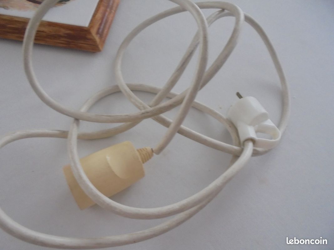 Rallonge électrique de 1 m 60 (image 1)