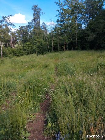 Terrain agricole