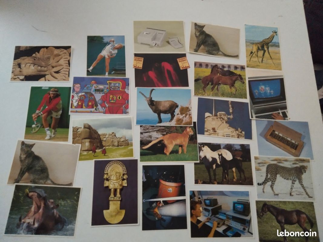 Lot de 23 images poulain années 80 vintage (image 1)