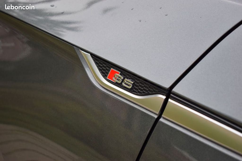 Audi S5 SPORTBACK 3.0 TFSI QU / TIP. *MATRIX*CARBON (image 17)