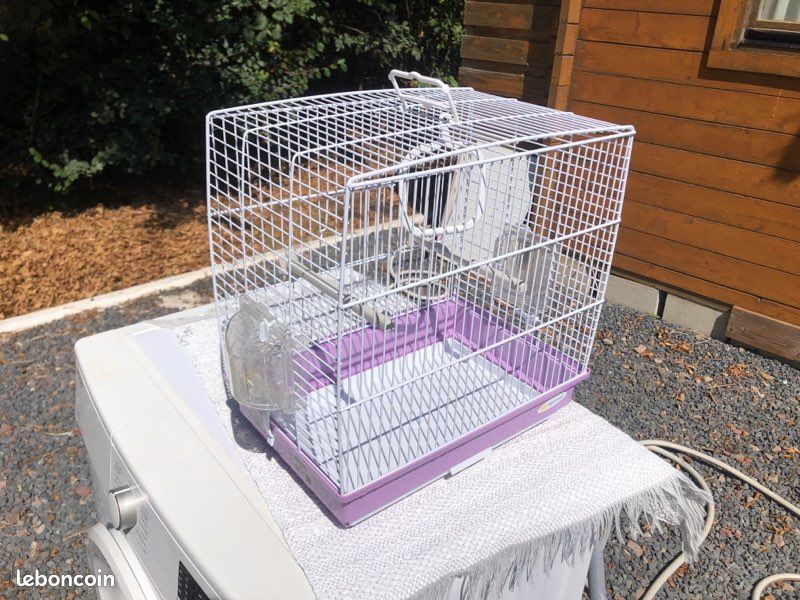 Je vends une cage à oiseaux (image 1)