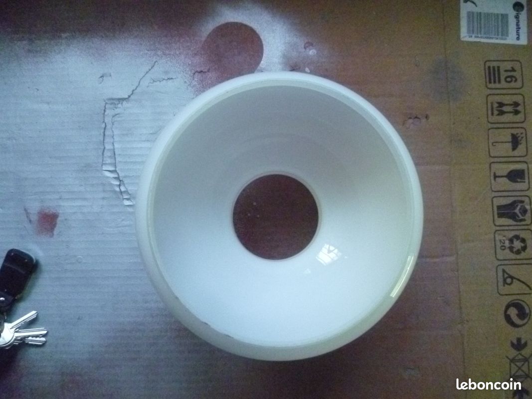 Globe verre blanc opaline lampe (image 2)