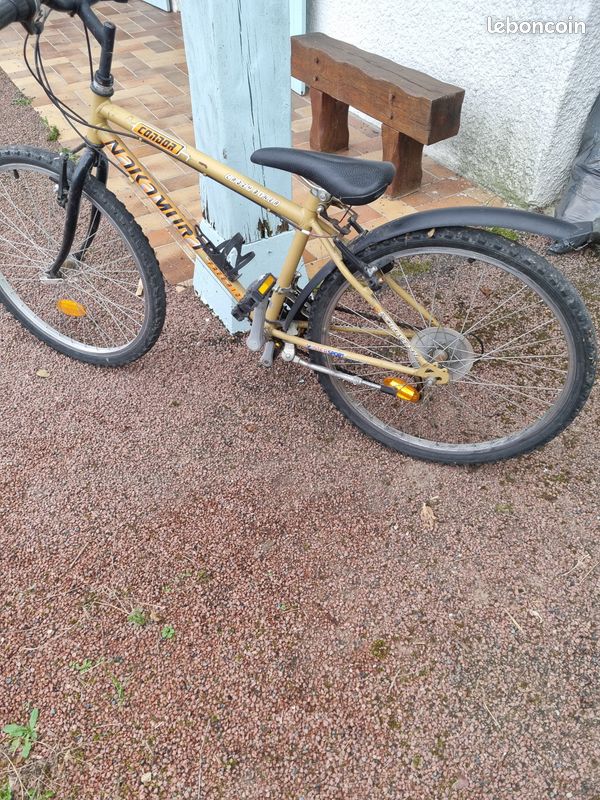 Vtt garçon (image 2)