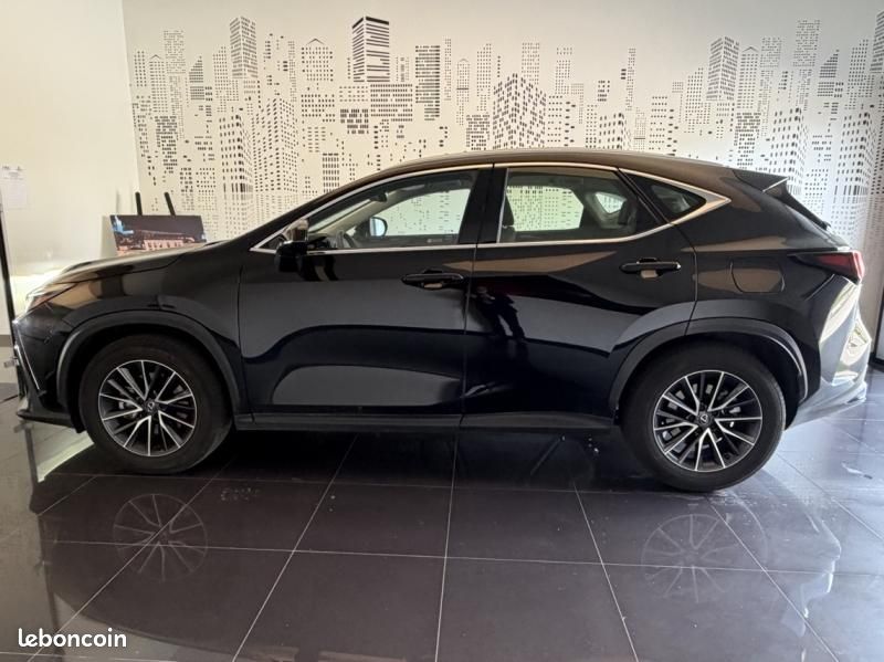 Lexus NX 350h Pack 2WD MY25 (image 5)