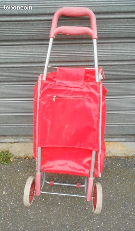 Charriot caddie de course (image 5)