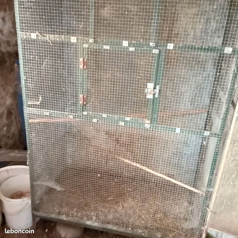 Cage à oiseaux (image 1)