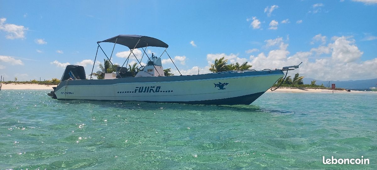 Bateau Panga Apex 25 moteur neuf Capacité 10 personnes. Antifouiling fait, taud soleil, doucette