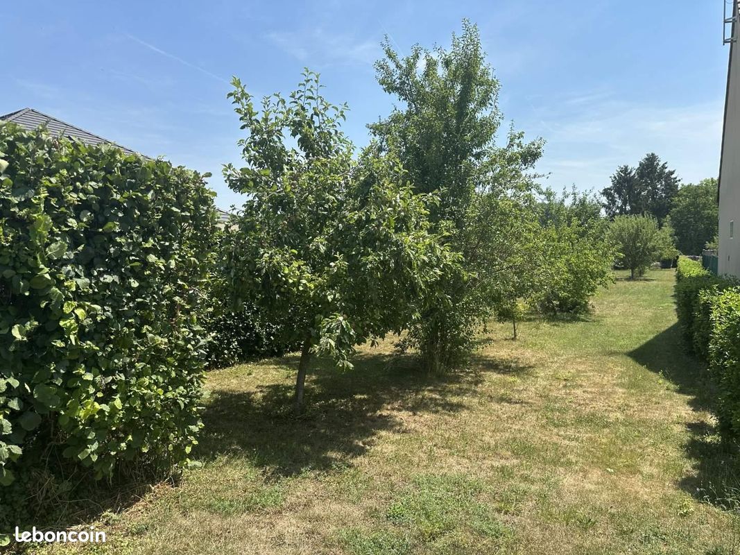 Terrain 1039 m² · à Fère-Champenoise · 1 039 m² · 23 870 €