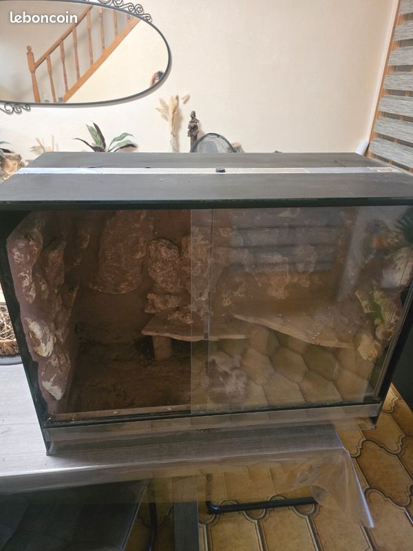 Terrarium (image 1)