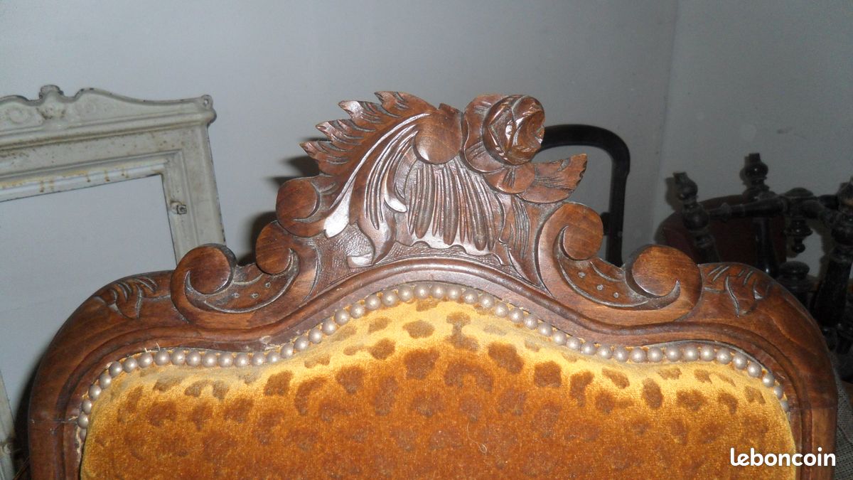 Voltaire ancien (image 3)
