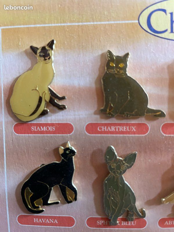 Broche Chat Havana - Bijou Vintage Passion Des Chats - Occasion