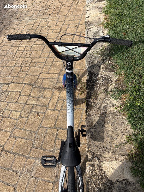 BMX Race Sunn Royal Pro Factory XXL Noir 2023