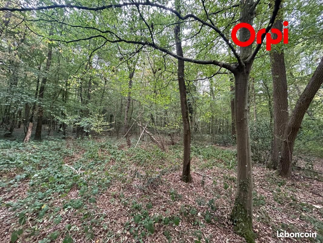 Terrain 7 260 m² Le Noyer En Ouche · au Noyer-en-Ouche · 19 000 €